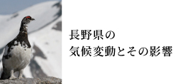 長野県の気候変動とその影響