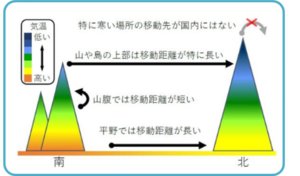 【研究成果】温暖化により高山生態系逃げ場がなくなる恐れ